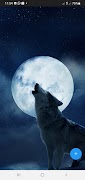 10000 Moon Wallpapers ảnh chụp màn hình 3