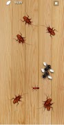 Insect Killer Cartaz