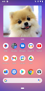 برنامه‌نما Simple Photo Widget عکس از صفحه