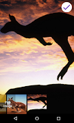 Kangaroo Lock Screen 截图 4