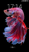 Betta Fish Pattern Lock Screen โปสเตอร์