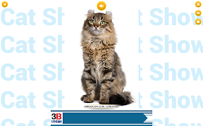 Cat Show 360 screenshot 5