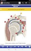 AnatomyMapp screenshot 5