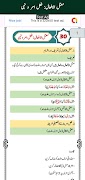 Arabic Grammar screenshot 7