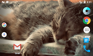 Cat Clock penulis hantaran