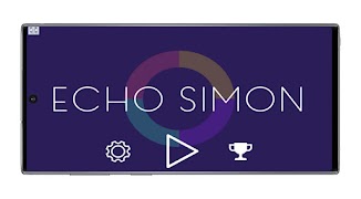 Echo Simon-poster