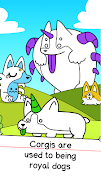 Corgi Evolution: Shiba Dogs poster