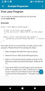 Java Programming 截图 4
