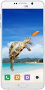 Turtle Wallpaper HD captura de pantalla 3
