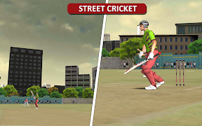 برنامه‌نما MSD: World Cricket Bash عکس از صفحه