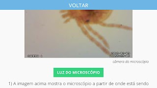 برنامه‌نما Remote Lab عکس از صفحه