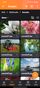 Qfile Pro syot layar 4