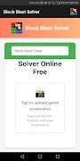 Block Blast Solver 截图 4