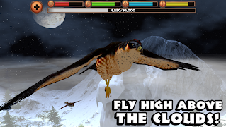 Falcon Simulator screenshot 3