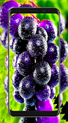 Fonds d'écran de raisins capture d'écran 6