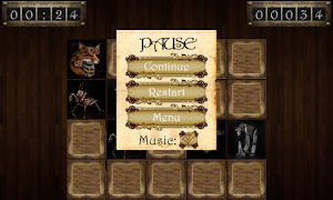 Memory Cards screenshot 2