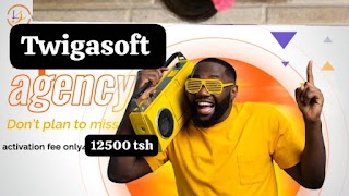 TWIGASOFT AGENCY plakat