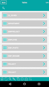 برنامهنما DB2Prog - DB2 Client عکس از صفحه