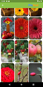 PixWall Wallpapers স্ক্রিনশট 3