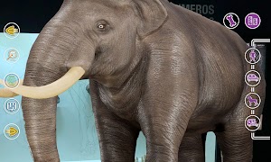 پوستر Mapuka Tour