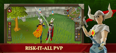 Old School RuneScape 스크린샷 5
