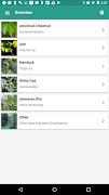 TreeSnap 포스터