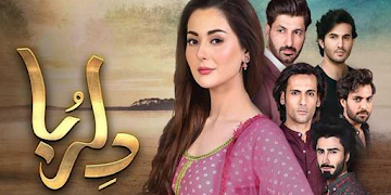 Dilruba HD screenshot 3