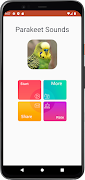 bunyi burung parkit syot layar 1