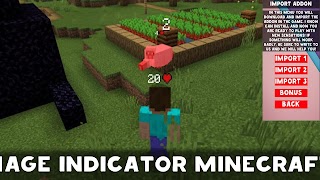 Damange Indicator Minecraft PE 截图 3