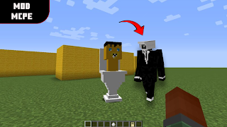 Mod Cameraman for Minecraft স্ক্রিনশট 2