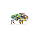 Buffalo Auto Skins - Mobile Detailing APK
