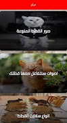 برنامه‌نما مياو _ قطط عکس از صفحه
