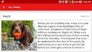 Dog Training स्क्रीनशॉट 4