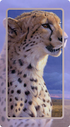 Leopard Wallpaper imagem de tela 2