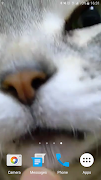 Kitty Licks Screen screenshot 4