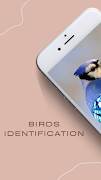 Birds identification guide 截图 5