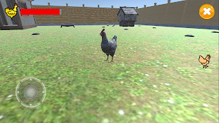Simulator Ayam screenshot 2