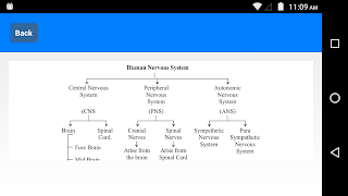 Class 10 Science Notes 截图 3