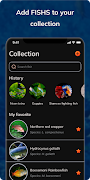 FishDetect - Fish Identifier اسکرین شاٹ 6