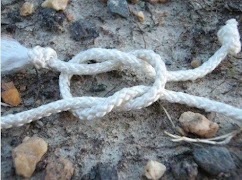 Knots Tying Tutorial اسکرین شاٹ 7