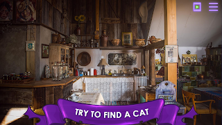 Find a Cat: Hidden Object screenshot 1