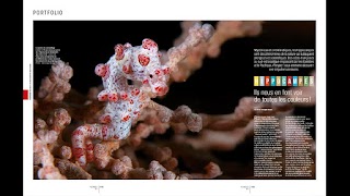 Plongez ! screenshot 4