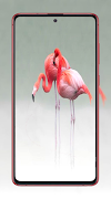 Flamingo Wallpaper syot layar 1