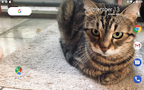 Cat Clock Ekran Görüntüsü 2