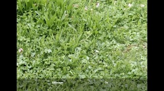 Camscroll 스크린샷 6