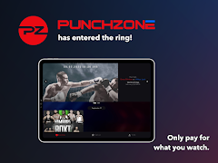 PunchZone اسکرین شاٹ 5