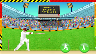 Cricket - Defend the Wicket screenshot 3