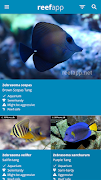 Reef App - Encyclopedia captura de pantalla 2