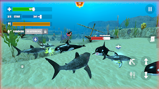 3 Schermata Shark Fish Simulator