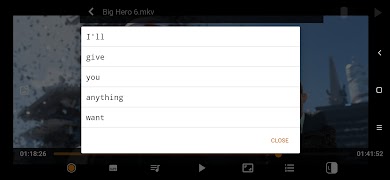 SubDictionary Video Player 截图 4